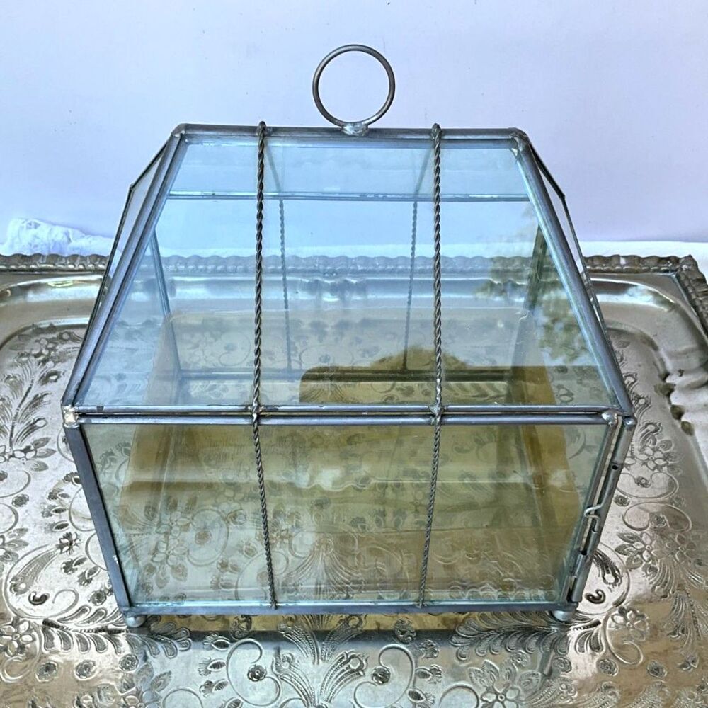 Vintage glass display greenhouse terrarium beautiful must see - Picture 7 of 8